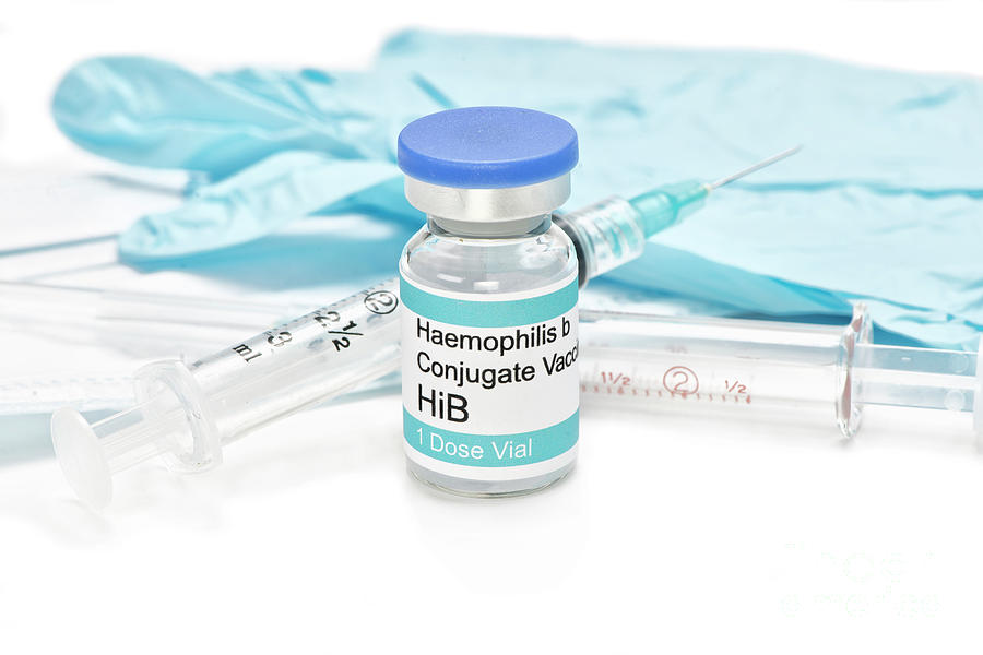 Haemophilus B Vaccine #4 Photograph By Sherry Yates Young/science Photo ...