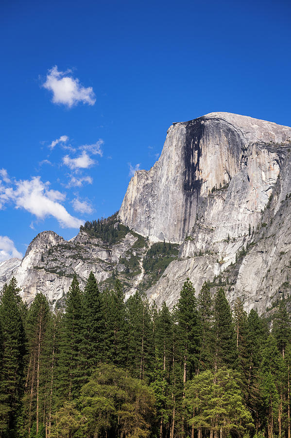 Spring Photograph - Half Dome, Yosemite National Park #4 by Russ Bishop
