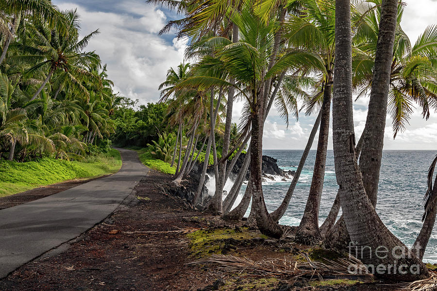 Hawaii Big Island #4 Photograph by Jim West