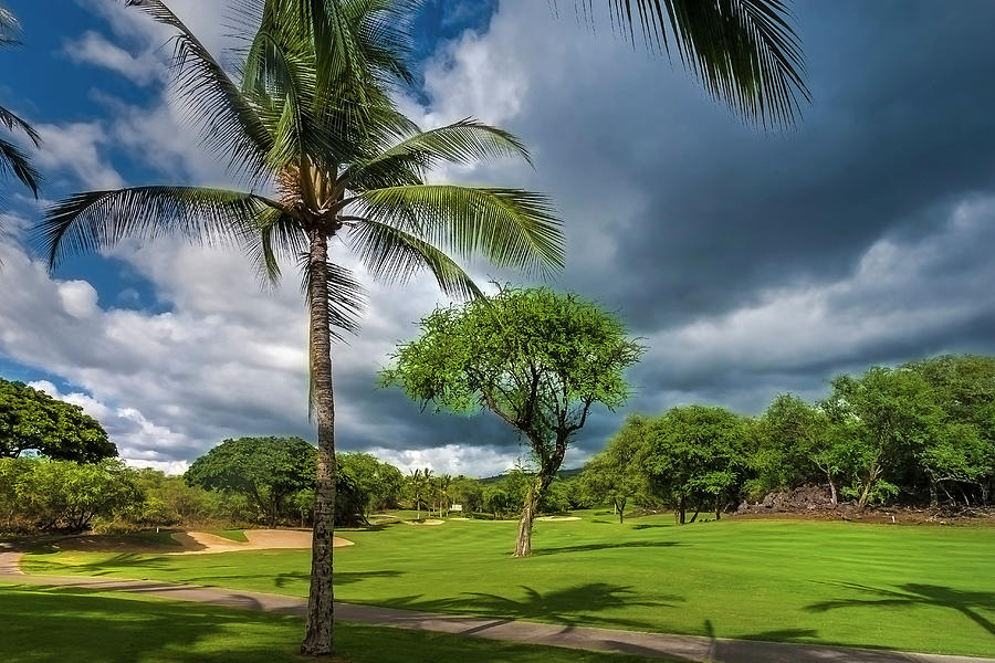 Hawaii, Maui Golf Course #4 Digital Art by Grant Studios
