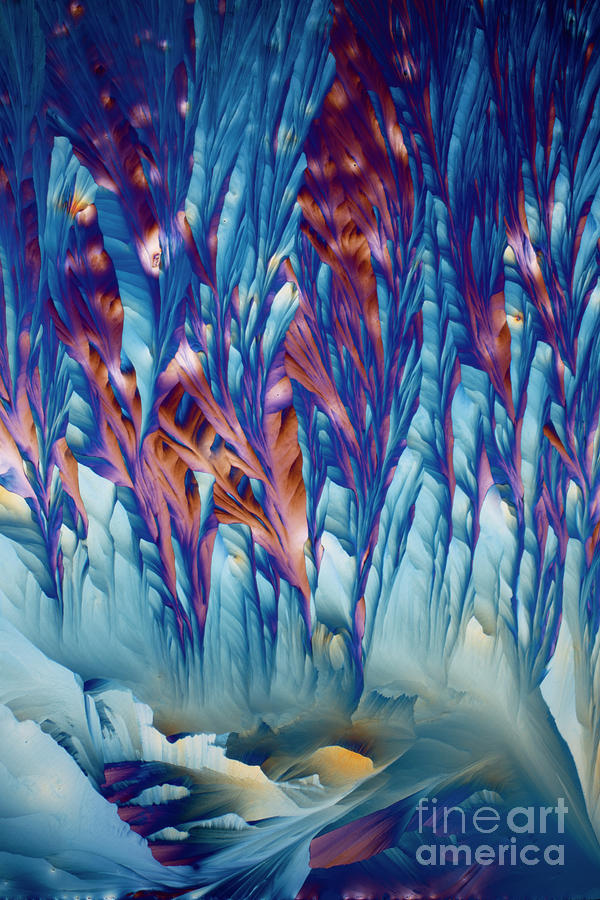Histological And Medicinal Compounds #4 Photograph by Karl Gaff / Science Photo Library