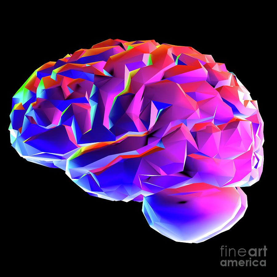 Human Brain #4 Photograph by Russell Kightley/science Photo Library
