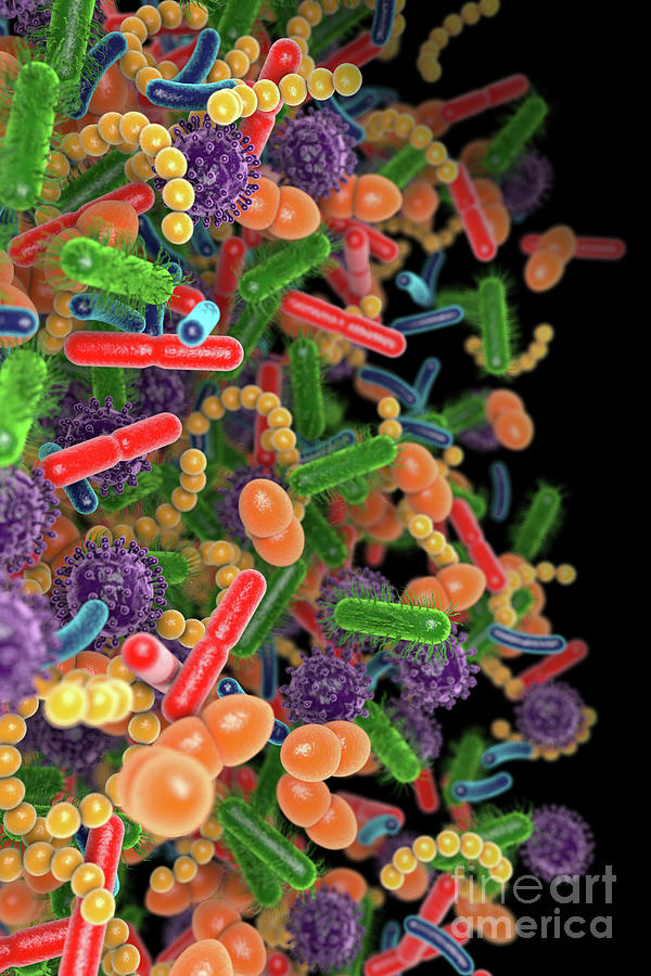 Human Microbiome #4 Photograph by Roger Harris/science Photo Library