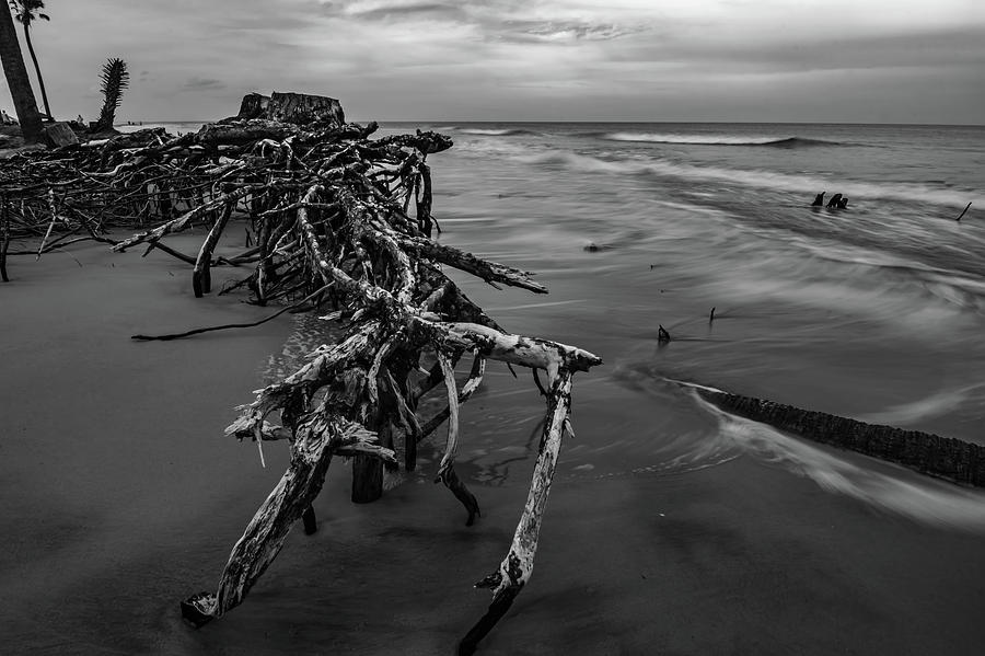 Hunting Island South Carolina Beach Scenes #4 Photograph by Alex Grichenko