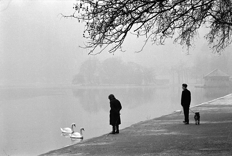 Hyde Park #4 Photograph by Cornell Capa
