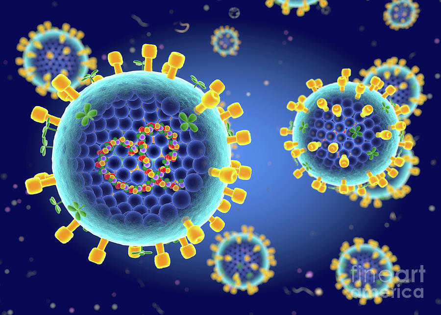 Influenza A Virus Photograph by Roger Harris/science Photo Library ...