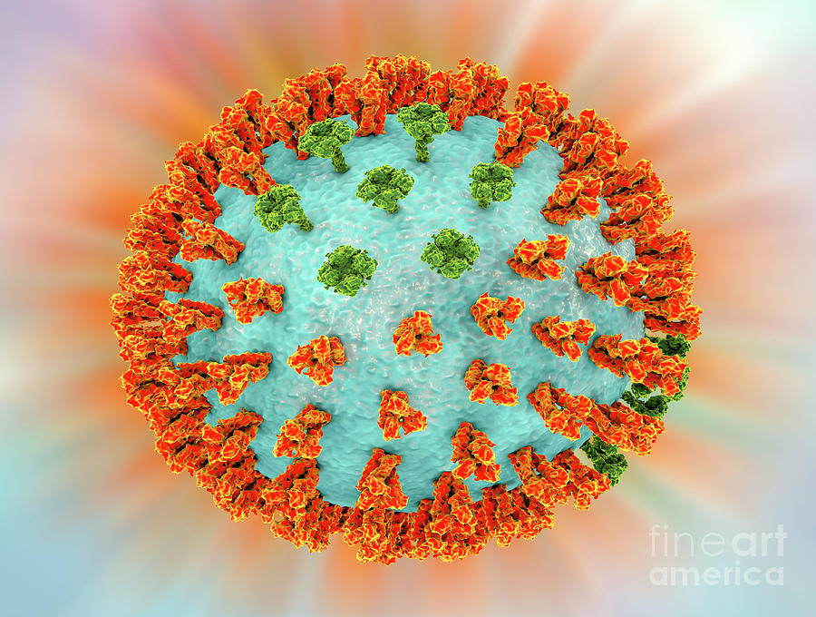 Influenza Virus H3n2 #4 Photograph by Kateryna Kon/science Photo Library