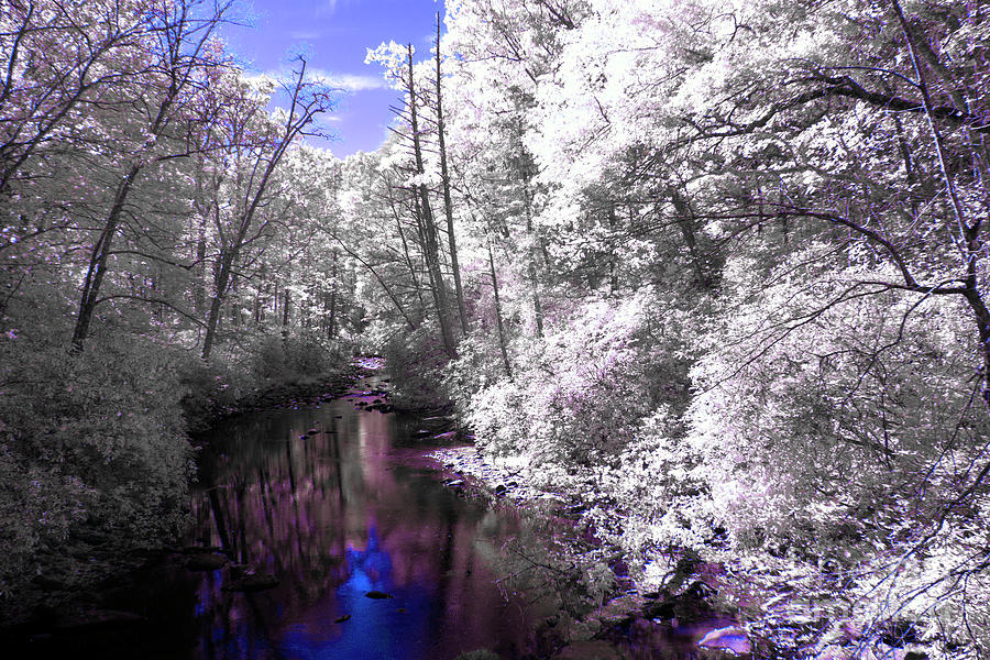 Infrared #4 Photograph by FineArtRoyal Joshua Mimbs