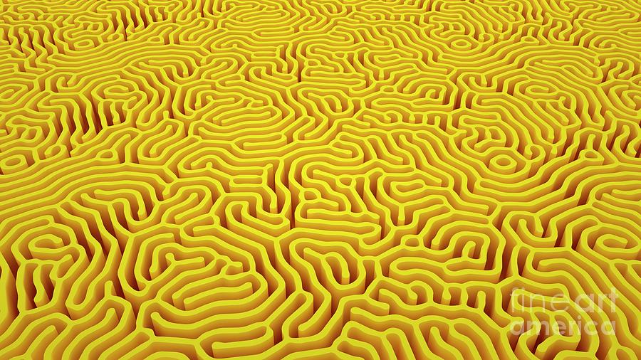 Irregular Labyrinth #4 Photograph by David Parker/science Photo Library