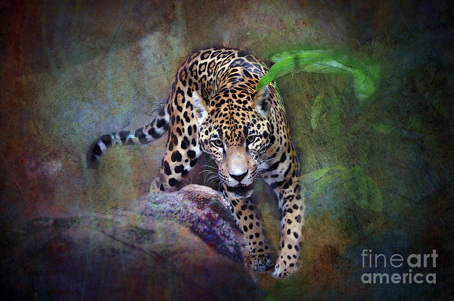 Jaguar  #3 Digital Art by Savannah Gibbs