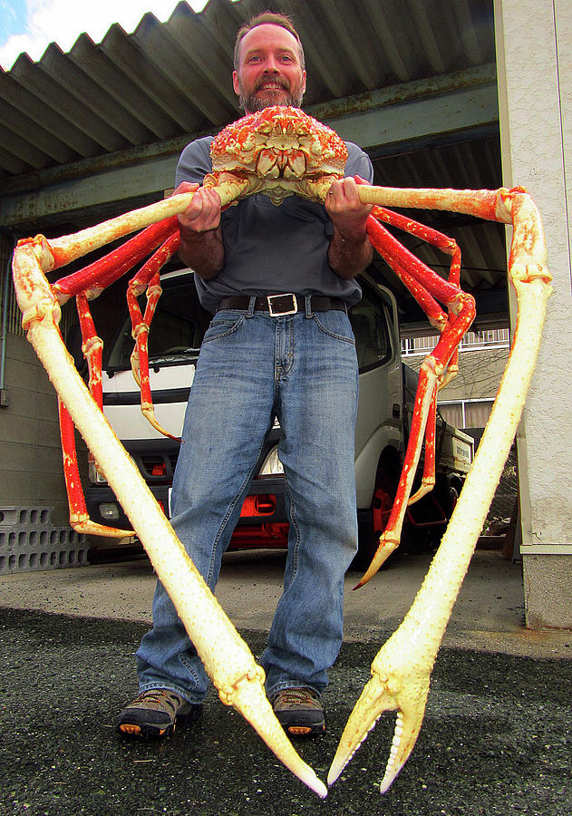 Japanese Spider Crab Macrocheira #4 Photograph by Dante Fenolio