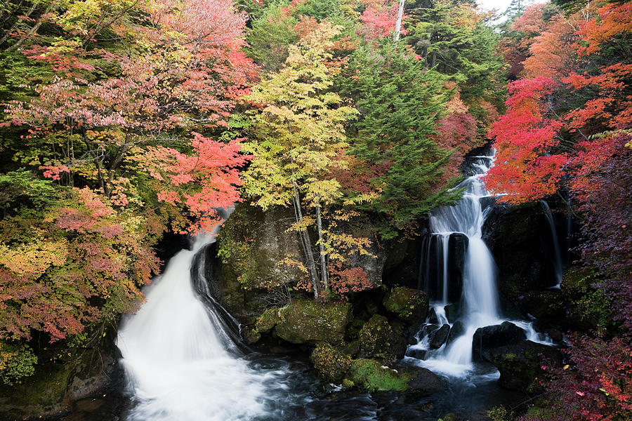 Japanese Waterfall Photograph by Ooyoo - Pixels