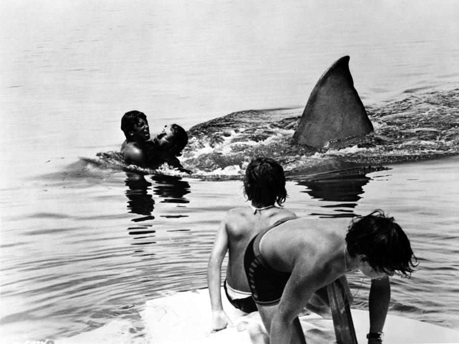 Jaws Photograph - Jaws #4 by Movie Star News