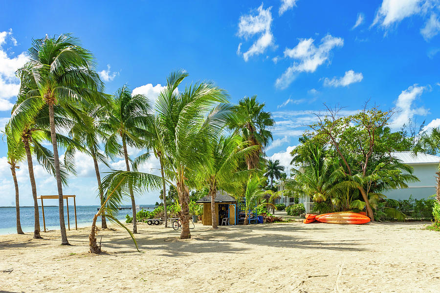 Kaibo Beach, Cayman Islands #4 Digital Art by Angela Pagano
