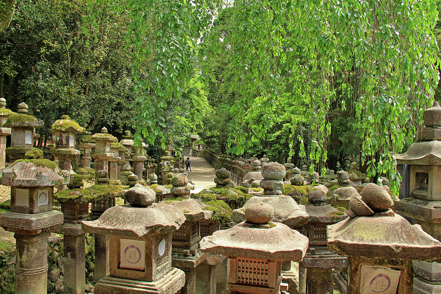 Kasuga Taisha Shrine - Nara, Japan #3 Photograph by Richard Krebs
