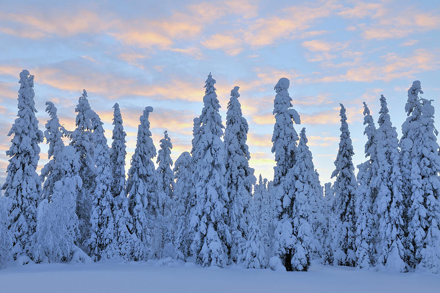 Kuusamo, Northern Ostrobothnia, Oulu by Raimund Linke