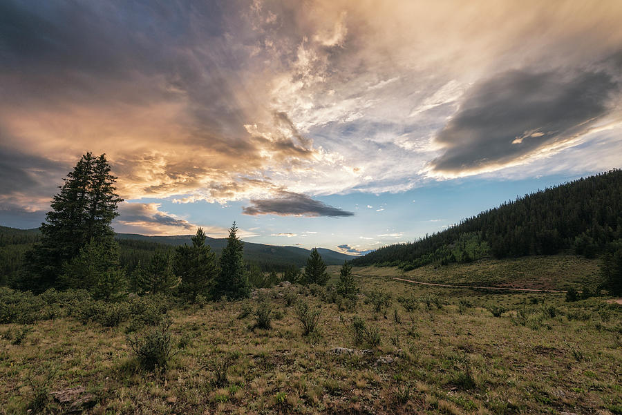 Landscape In The Lost Creek Wilderness Photograph by Cavan Images ...