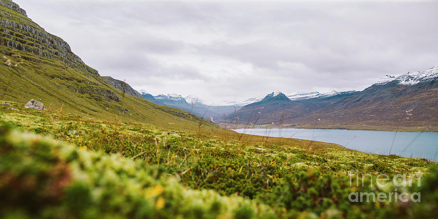 Landscape of green and leafy pastures in the mountainous valleys of Iceland. #4 Photograph by Joaquin Corbalan