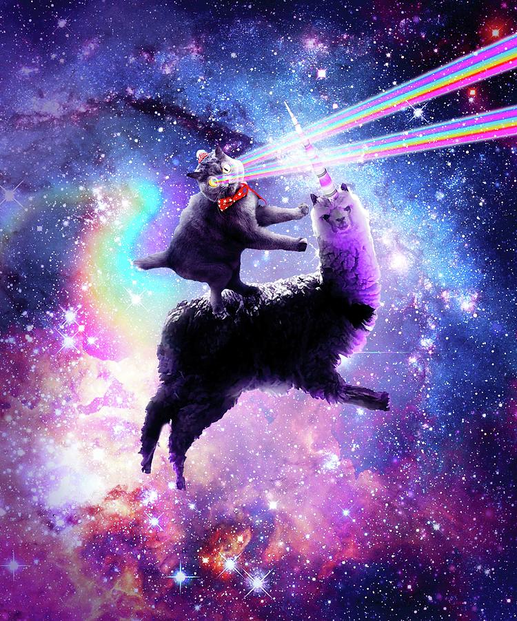 https://images.fineartamerica.com/images/artworkimages/mediumlarge/2/4-laser-eyes-outer-space-cat-riding-on-llama-unicorn-random-galaxy.jpg