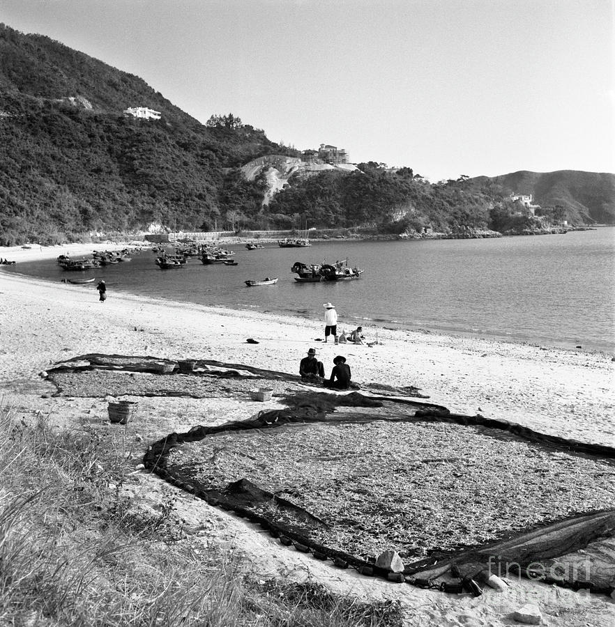 Life In Hong Kong Photograph by Bettmann Life In Hong Kong Photograph by Bettmann