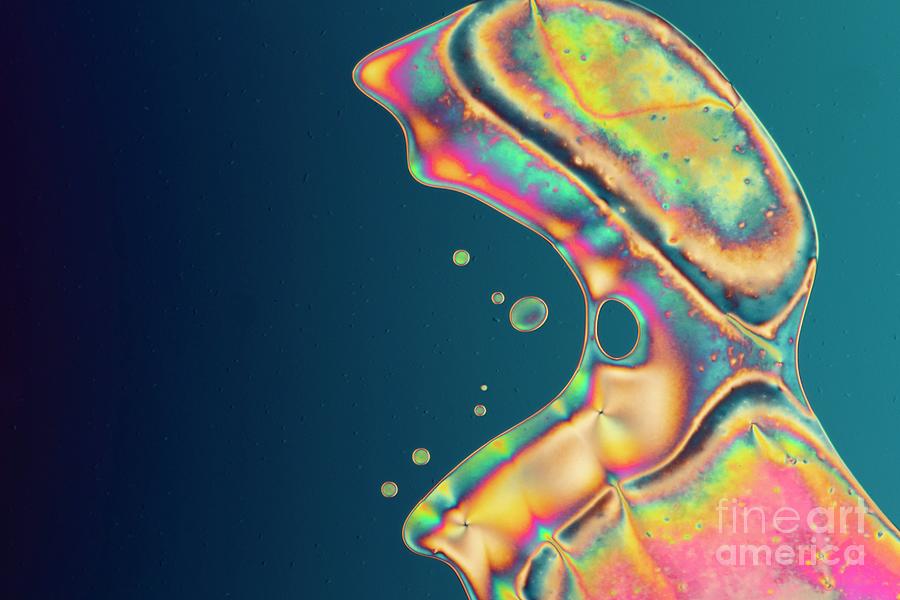 Liquid Crystal #4 Photograph by Karl Gaff / Science Photo Library