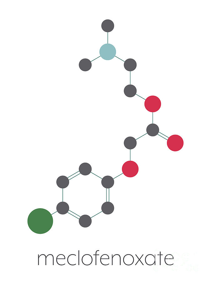 Meclofenoxate Nootropic Molecule Photograph by Molekuul/science Photo ...