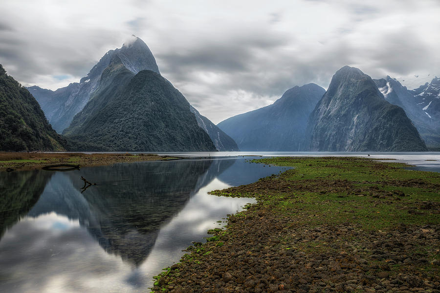 Milford Sound - New Zealand #4 Photograph by Joana Kruse