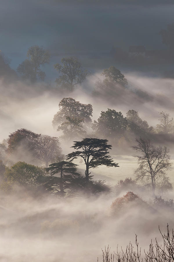 Misty Autumn Morning, Uley #4 Photograph by Peter Adams