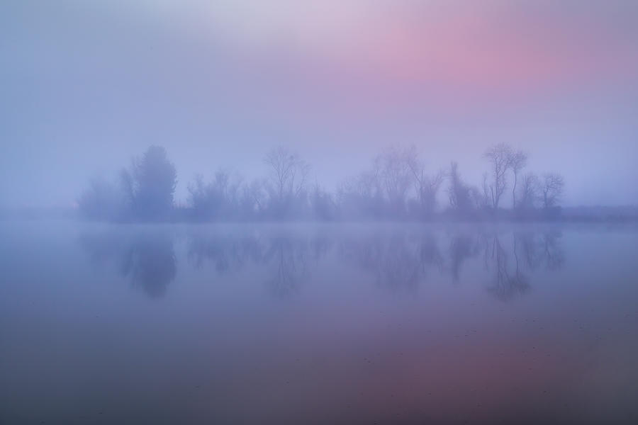 Morning Fog #4 Photograph by Wei Liu
