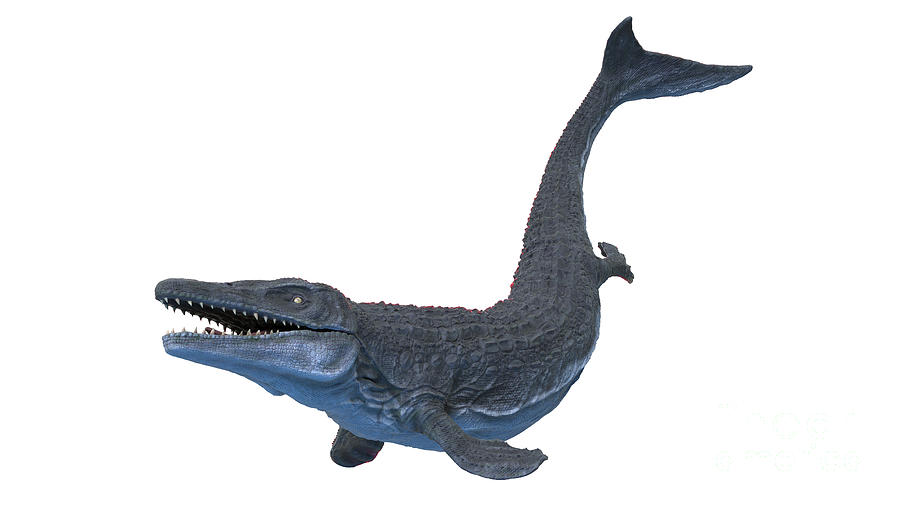 Mosasaurus Photograph By Sebastian Kaulitzki Science Photo Library - Pixels