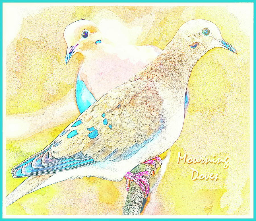 Mourning Dove Pair Poster Image #4 Digital Art by A Macarthur Gurmankin