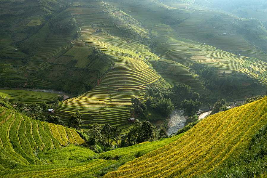 Mu Cang Chai Photograph by Sarawut Intarob - Fine Art America