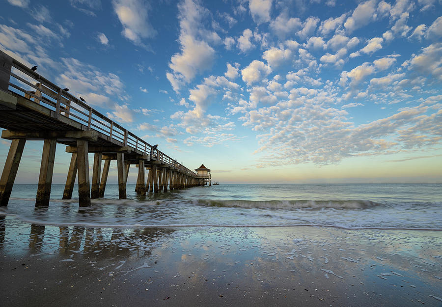 naples pier by Bill Martin naples pier by Bill Martin