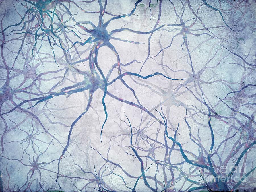 Neural Network #4 Photograph by Maurizio De Angelis/science Photo Library