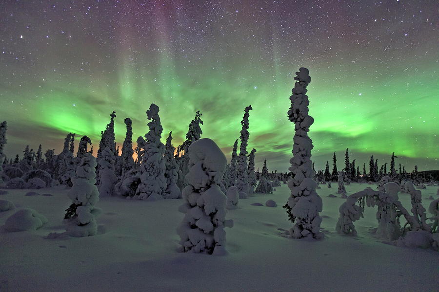 Northern Lights, Lapland, Sweden #4 Digital Art by Bernd Rommelt