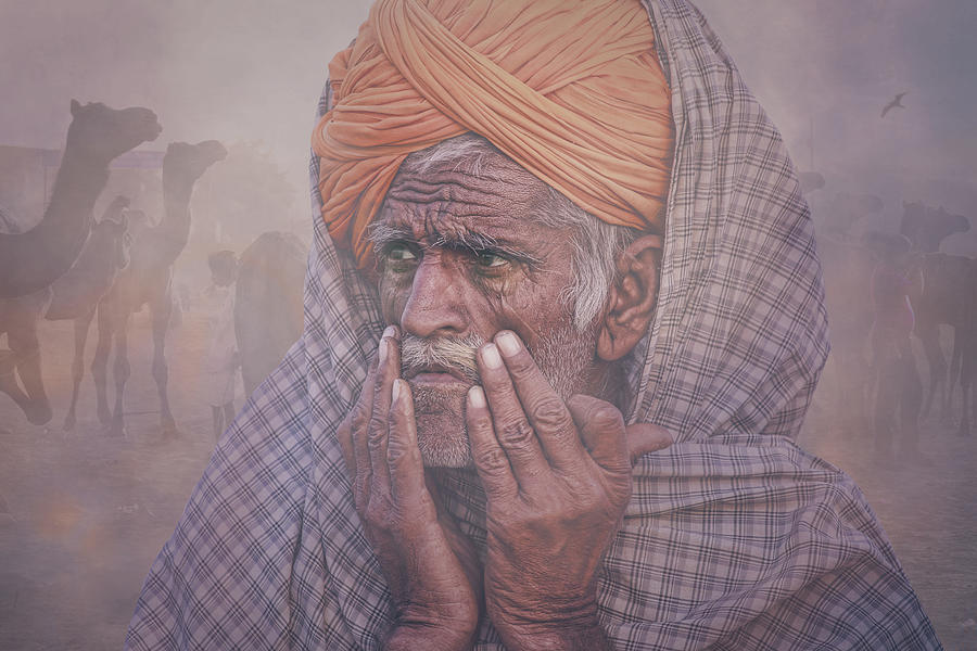 Pushkar Photograph - Old Rajasthani Man #4 by Svetlin Yosifov