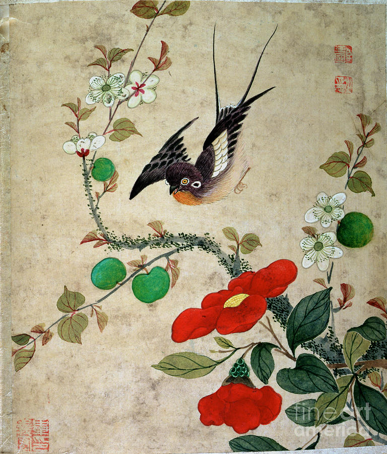 One Of A Series Of Paintings Of Birds And Fruit, Late 19th Century ...