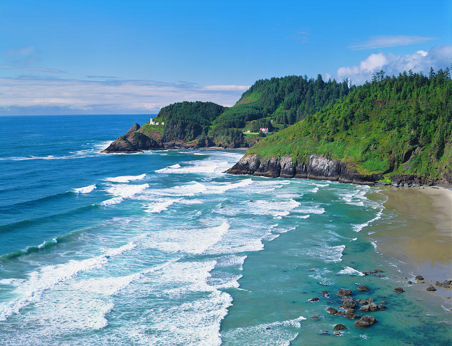 Oregon Coastline #4 Photograph by Ron thomas - Fine Art America