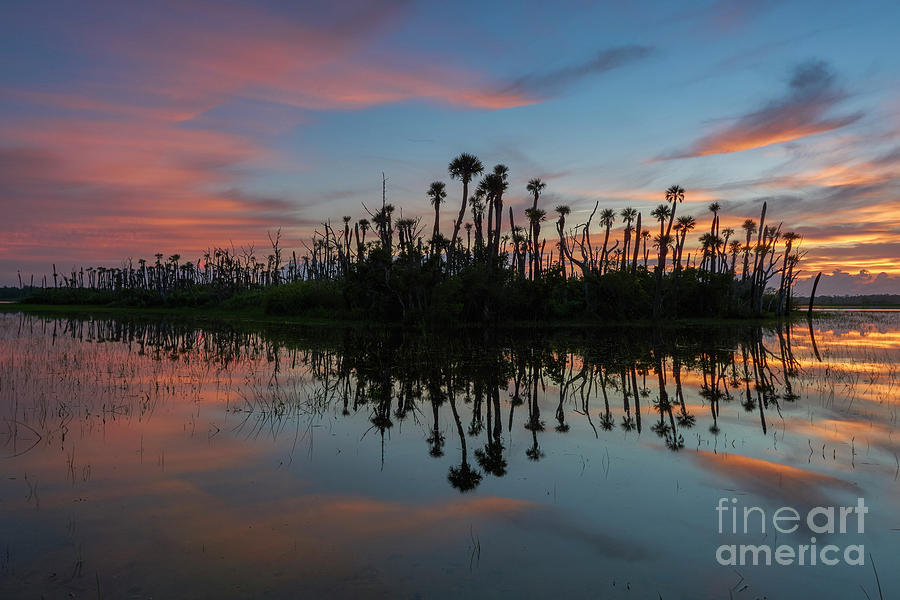 Orlando Sunrise #4 Photograph by Brian Kamprath