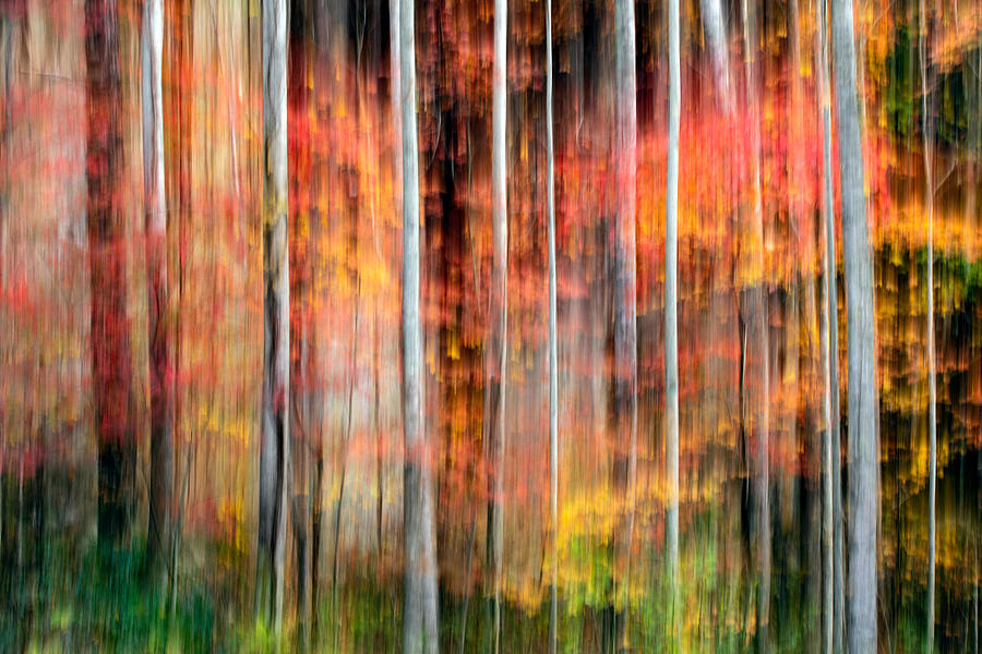 Abstract Photograph - Painterly Abstract Motion Blur #4 by Bill Gozansky