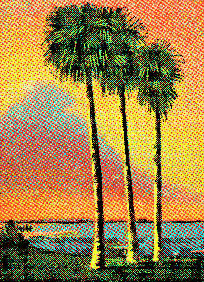 Nature Drawing - Palm trees #4 by CSA Images