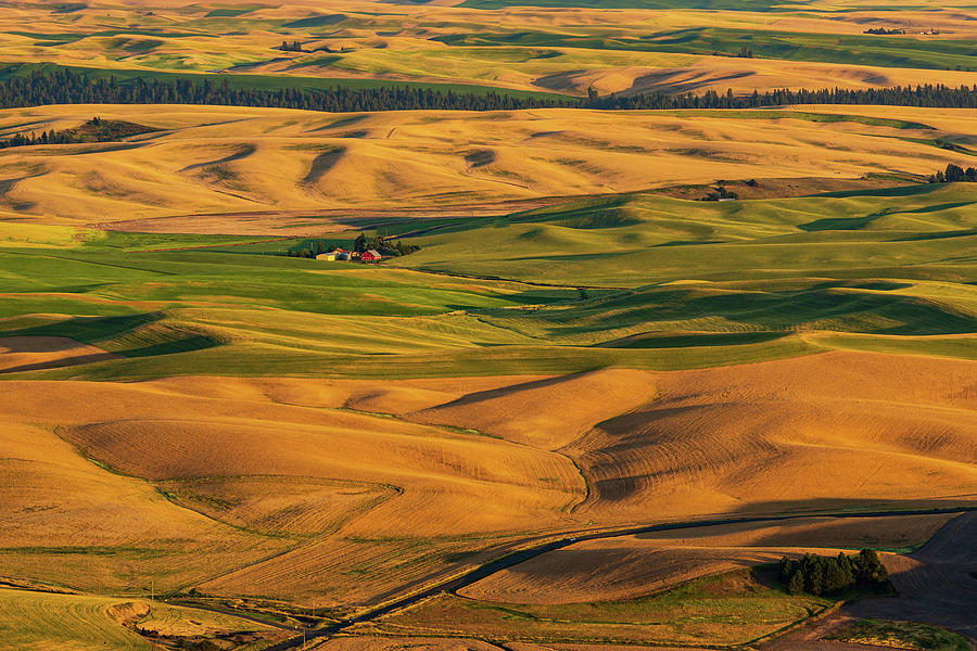 Palouse hills of wheat land #4 Digital Art by Michael Lee