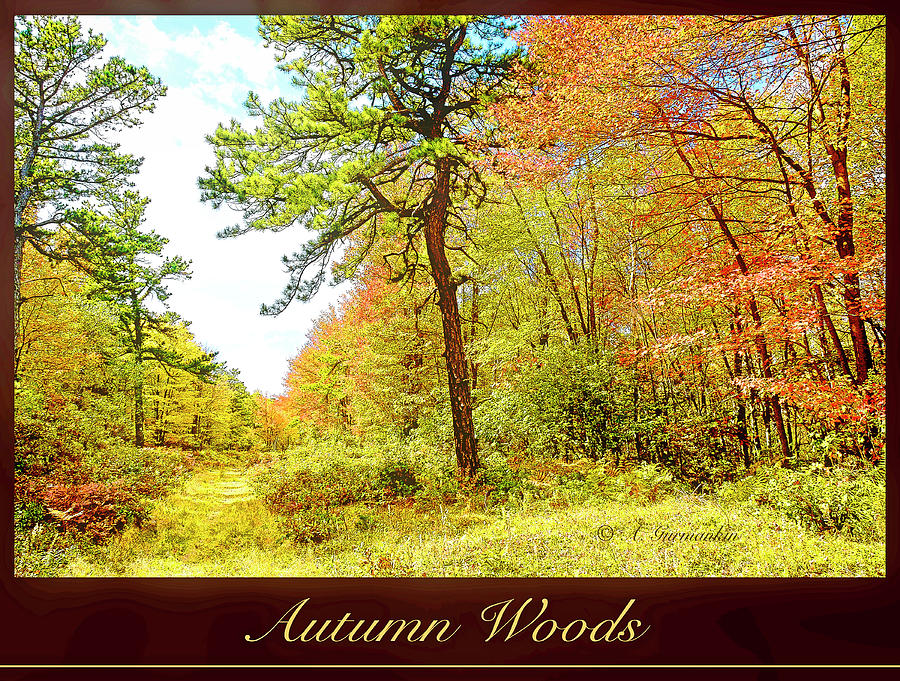 Path in a Pennsylvania Forest in Autumn #4 Photograph by A Macarthur Gurmankin