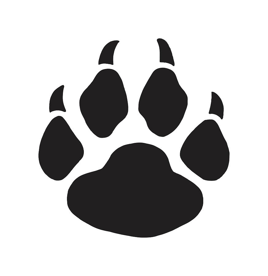 Paw Print Drawing by CSA Images - Fine Art America