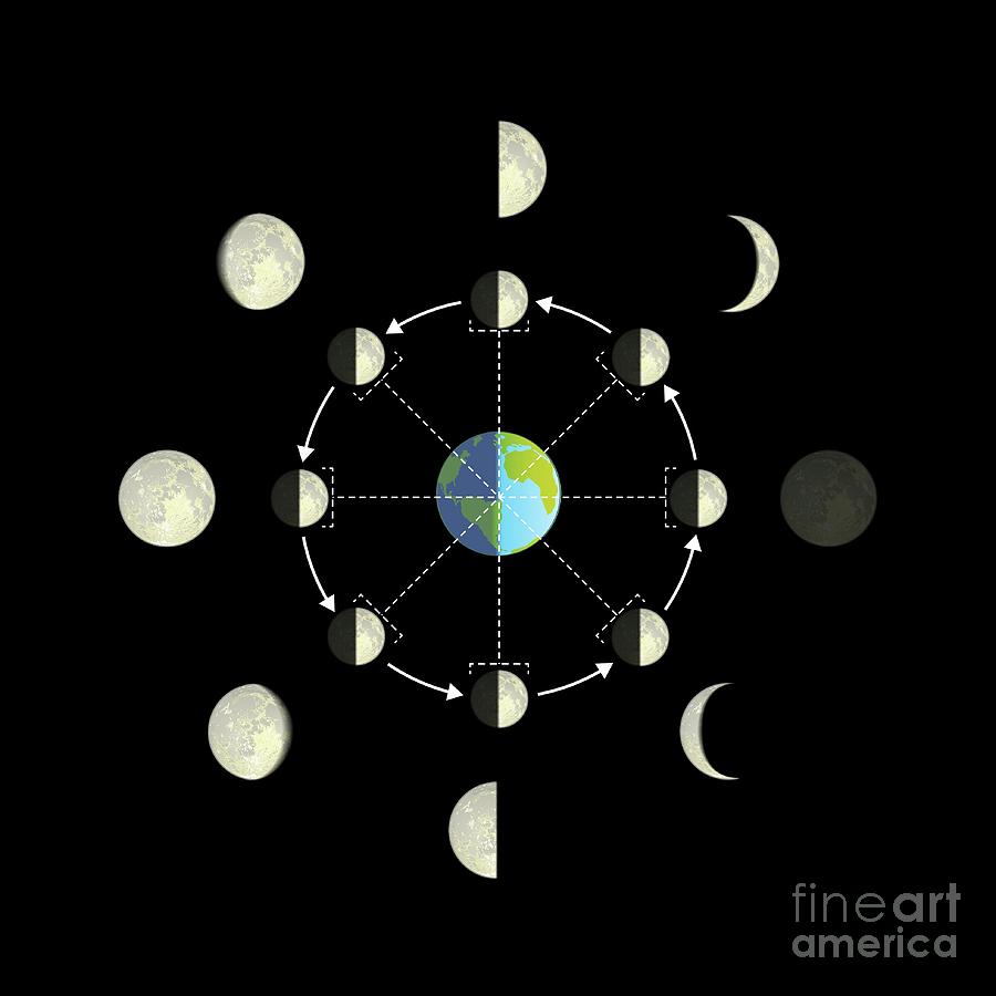 Phases Of The Moon #4 Photograph by Science Photo Library