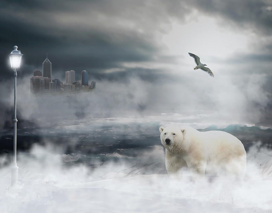 Polar Bear  #4 Mixed Media by Marvin Blaine