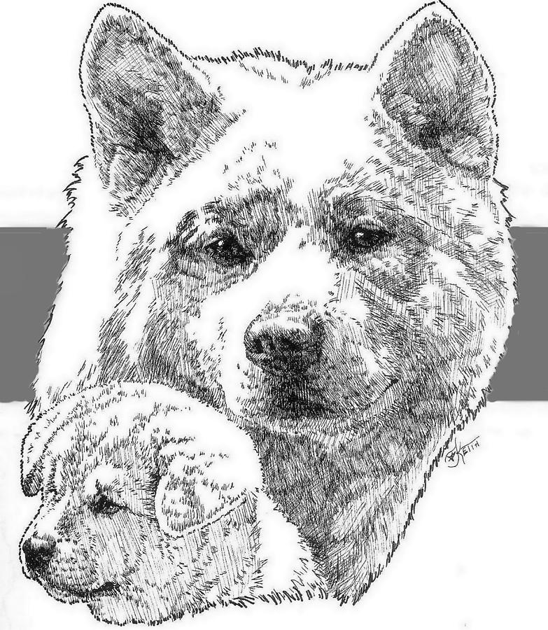 Akita Ken and Pup Drawing by Barbara Keith