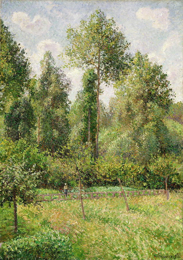 Poplars, Eragny. #4 Painting by Camille Pissarro