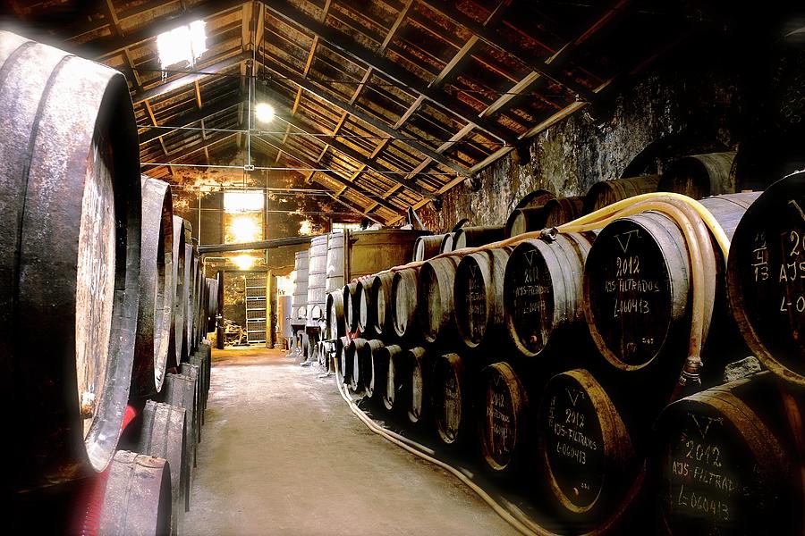 Port Wine In Wooden Barrels In The Niepoort Winery, Portugal #4 Photograph by Joris Luyten