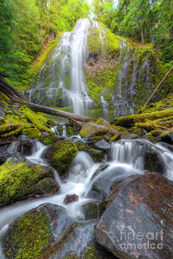 Sunset Photograph - Proxy Falls #4 by Aaron Harris